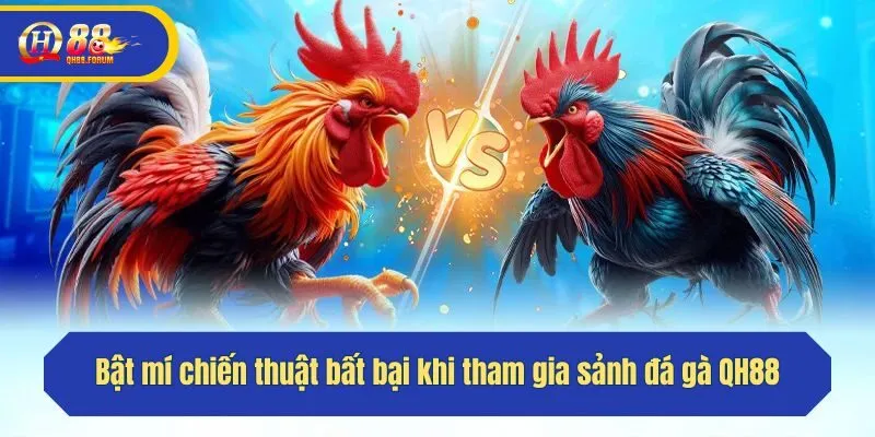 Bật mí chiến thuật bất bại khi tham gia sảnh đá gà QH88