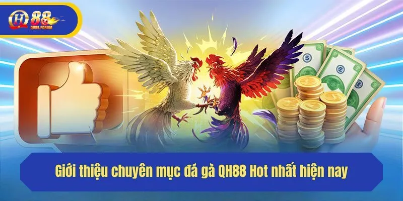 Giới thiệu chuyên mục đá gà QH88 Hot nhất hiện nay